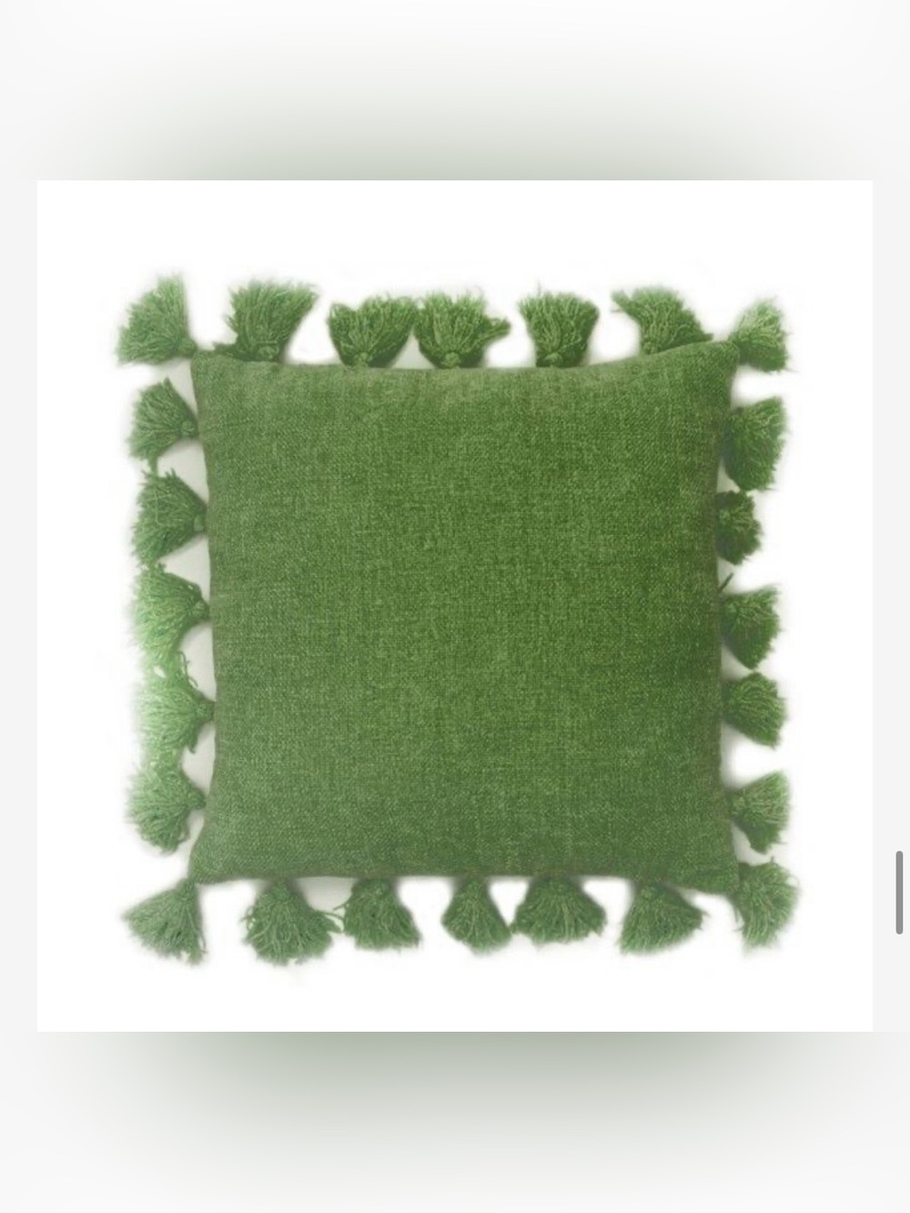 Dormify ‘Lily’ Forest Green Chenille Throw Pillow Knit Tassel
